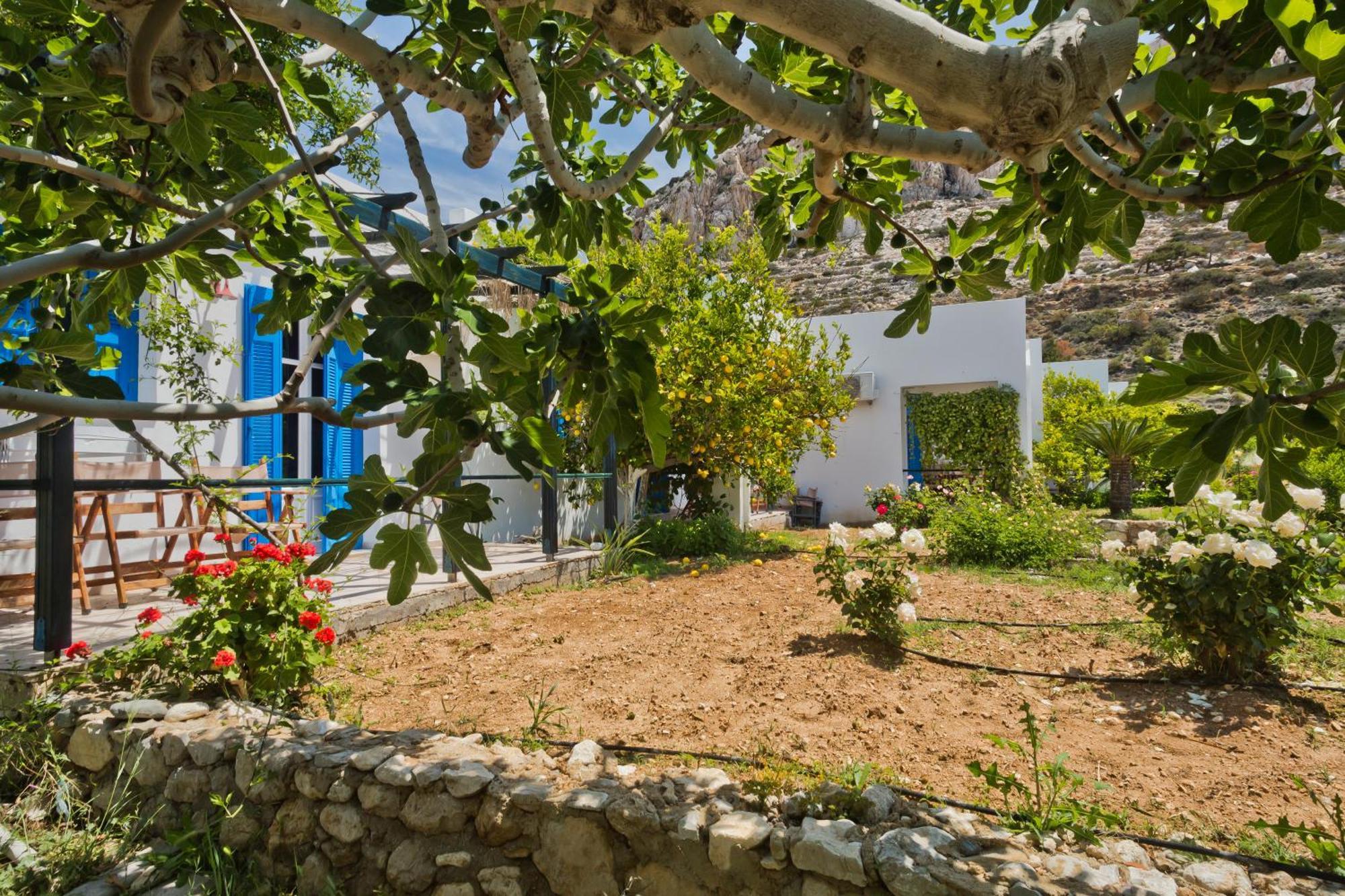 Pleiades Apartments Lefkos  Esterno foto