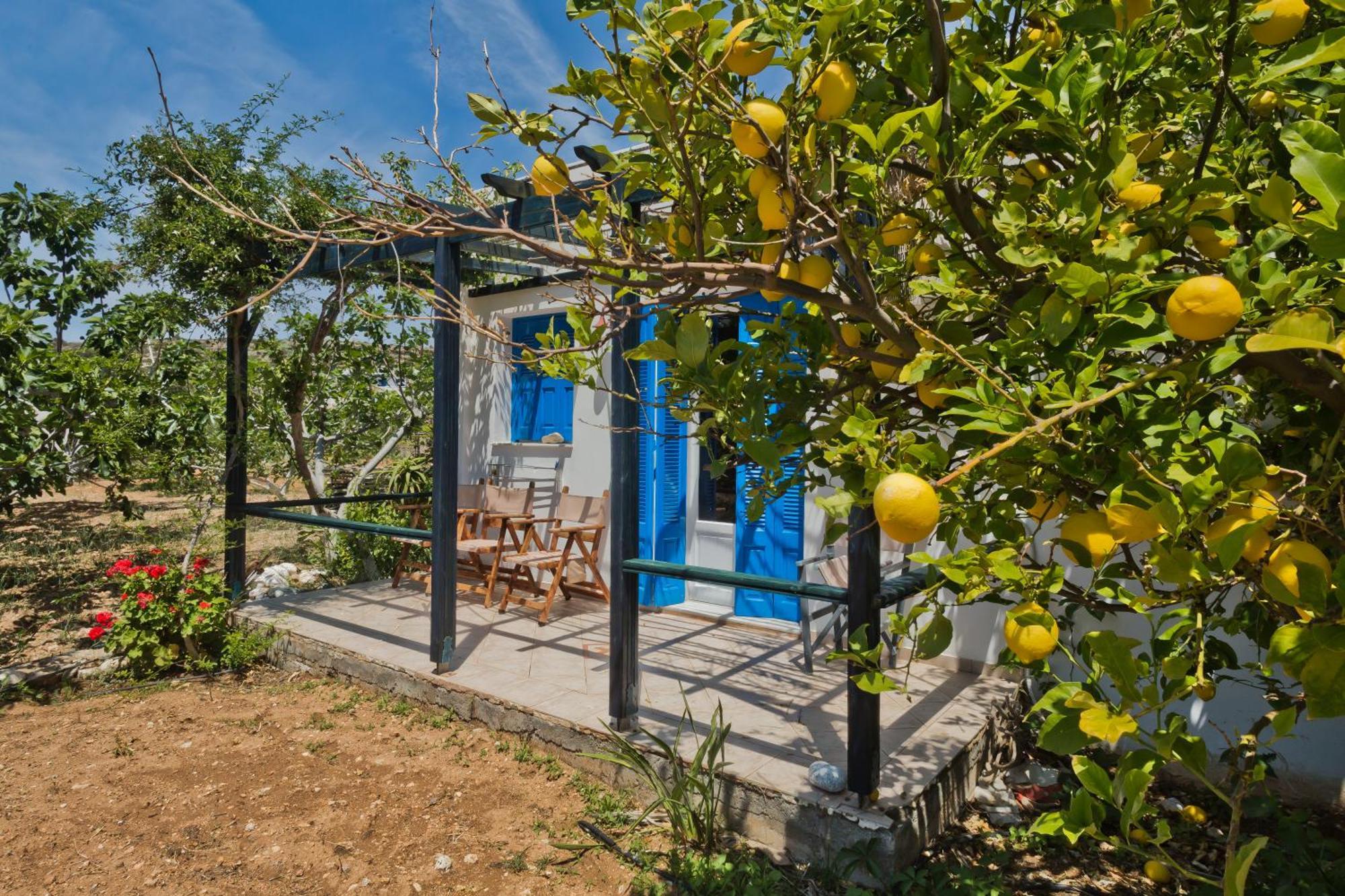 Pleiades Apartments Lefkos  Esterno foto